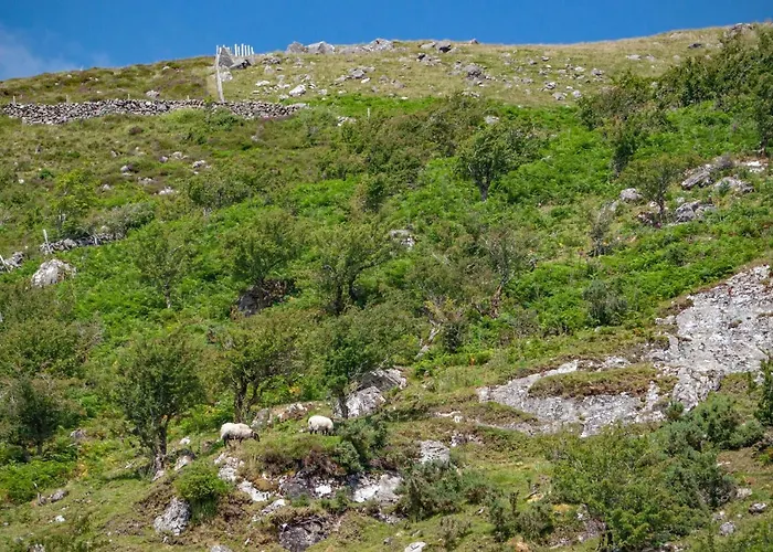 390 - Maam Dom wakacyjny Claggan (Galway)